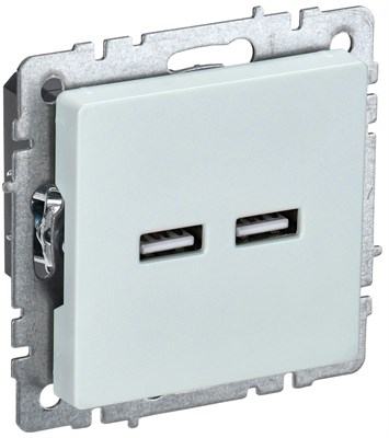BRITE Роз. USB A+A 3,1А РЮ10-1-БрЖ жемч. IEK BR-U21-D31-K36 - фото 242001