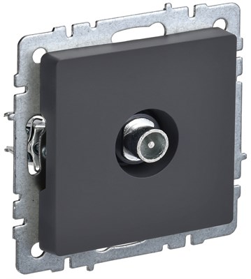 BRITE Роз. TV проходная РТВ10-0-БрГ граф. IEK BR-A10-P-K53 - фото 242080