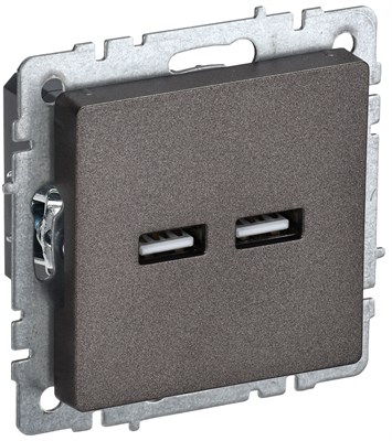 BRITE Роз. USB A+A 3,1А РЮ10-1-БрТБ бр. IEK BR-U21-D31-K45 - фото 242139