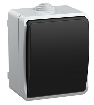 FORS Выкл. 1-кл. прох. о/у IP54 ВС20-1-0-ФСр сер. IEK EVS10-K03-10-54-DC - фото 242227