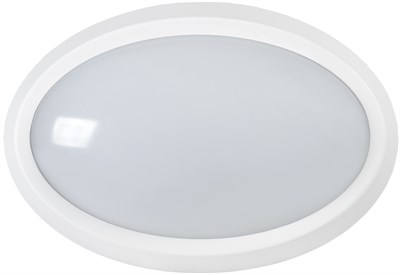 Светильник LED ДПО 5020 8Вт 4000K IP65 овал белый IEK LDPO0-5020-08-4000-K01 - фото 242966