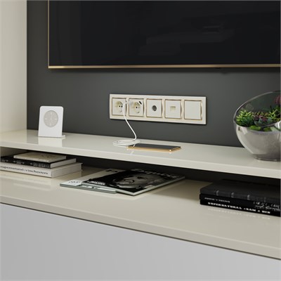 ТВ розетка оконечная  (слоновая кость) W1183003 a051494 - фото 265025