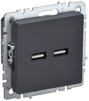 BRITE Роз. USB A+A 3,1А РЮ10-1-БрГ граф. IEK BR-U21-D31-K53