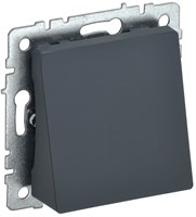 BRITE Вывод кабеля МВ10-БрГ граф. IEK BR-VK10-0-K53