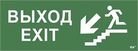 Этикетка самокл. 350х130мм "Выход/лестница вниз/фигура" IEK LPC10-1-35-13-VLVNF