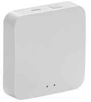 iTEQ SMART-HUB WiFi+ZigBee USB белый ONI IT-HWZ-K01