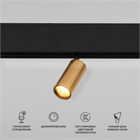 Умный трековый светильник 5W 2700-6500K Dim Cantors Slim Magnetic 85071/01 a063531