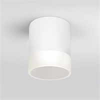 Уличный потолочный светильник Light LED 2107 IP54 35140/H белый a057160