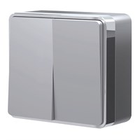 Выключатель двухклавишный Gallant серебряный W5020006 a052769