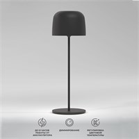 Светильник светодиодный настольный Bitty черный TL70260 a069002