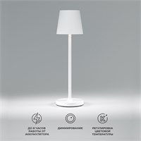 Уличный настольный светодиодный светильник Mist с аккумулятором TL70220 белый a063928