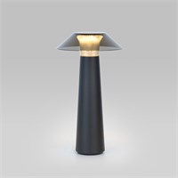 Настольный светильник Future TL70200 a062379