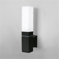 Уличный настенный светодиодный светильник Чёрный IP54 1534 TECHNO LED a052856