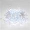 Гирлянда светодиодная Кластер 10м 200 LED БЕЛЫЙ прозрачный ПВХ IP65 постоянное свечение 230В нужен блок 303-500-1 NEON-NIGHT 303-635