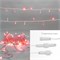 Гирлянда светодиодная Нить 10м 100 LED КРАСНЫЙ прозрачный ПВХ IP65 эффект мерцания 24В соединяется NEON-NIGHT нужен трансформатор 531-100/531-311/531-312 305-252