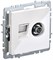 BRITE Роз. двойная TV+RJ45 кат.5E РТВ/РК12-БрБ бел. IEK BR-AK20-1-K01 - фото 241917