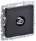 BRITE Роз. TV проходная РТВ10-0-БрЧ черн. IEK BR-A10-P-K02 - фото 241943