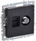 BRITE Роз. двойная TV+RJ45 кат.5E РТВ/РК12-БрЧ черн. IEK BR-AK20-1-K02 - фото 241945