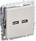 BRITE Роз. USB A+A 3,1А РЮ10-1-БрКр беж. IEK BR-U21-D31-K10 - фото 241978