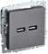BRITE Роз. USB A+A 3,1А РЮ10-1-БрС сталь IEK BR-U21-D31-K46 - фото 242070