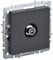 BRITE Роз. TV проходная РТВ10-0-БрГ граф. IEK BR-A10-P-K53 - фото 242080