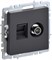 BRITE Роз. двойная TV+RJ45 кат.5E РТВ/РК12-БрГ граф. IEK BR-AK20-1-K53 - фото 242082