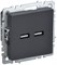 BRITE Роз. USB A+A 3,1А РЮ10-1-БрГ граф. IEK BR-U21-D31-K53 - фото 242093