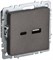 BRITE Роз. USB A+C 18Вт РЮ11-1-БрТБ бр. IEK BR-U22-018-K45 - фото 242140
