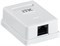 ITK Настенная инф. розетка RJ45, кат.5Е UTP, 1-порт CS2-1C5EU-12 - фото 243486