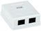 ITK Настенная инф. розетка RJ45, кат.5Е UTP, 2-порта CS2-1C5EU-22 - фото 243488