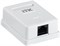 ITK Настенная инф. розетка RJ45 кат. 6 UTP 1-порт CS2-1C06U-12 - фото 243492