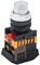 Кнопка ABLFP-22 прозрачный d22мм неон/240В 1з+1р IEK BBT20-ABLFP-K08 - фото 244013