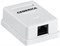 Розетка инф. настенная RJ45 кат. 5Е UTP 1 порт GENERICA CS2-1C5EU-12-G - фото 244081