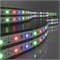 Светодиодная лента 24 В 14,4 Вт/м 60 Led/м 5050 IP65, RGB, 5 м Лента светодиодная 24V 14,4W 60Led 5050 IP65 RGB, 5м a052978 - фото 260636