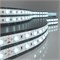 Светодиодная лента 24 В 14,4 Вт/м 60 Led/м 5050 IP65, холодный белый 6500K, 5 м Лента светодиодная 24V 14,4W 60Led 5050 IP65 холодный белый, 5м a052970 - фото 260652