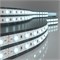 Светодиодная лента 24 В 14,4 Вт/м 60 Led/м 5050 IP20, холодный белый 6500K, 5 м Лента светодиодная 24V 14,4W 60Led 5050 IP20 холодный белый, 5м a052967 - фото 260658
