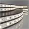 Светодиодная лента 24 В 14,4 Вт/м 60 Led/м 5050 IP20, теплый белый 3300K, 5 м Лента светодиодная 24V 14,4W 60Led 5050 IP20 теплый белый, 5м a052965 - фото 260662
