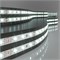 Светодиодная лента 24 В 4,8 Вт/м 60 Led/м 2835 IP20, холодный белый 6500K, 5 м Лента светодиодная 24V 4,8W 60Led 2835 IP20 холодный белый, 5м a052955 - фото 260682