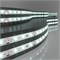 Светодиодная лента 12 В 4,8 Вт/м 60 Led/м 2835 IP65, холодный белый 6500К, 5 м Лента светодиодная 12V 4,8W 60Led 2835 IP65 холодный белый, 5м a040996 - фото 262364