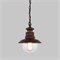 Уличный подвесной светильник Talli H брауни IP44 GL 3002H брауни a038482 - фото 262651