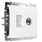 Розетка ТВ+Ethernet RJ-45 6 cat. (белый) W1181301 a056109 - фото 264603