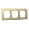 Рамка из металла на 3 поста Аluminium шампань алюминий W0031711 a052314 - фото 264823