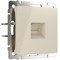 Розетка Ethernet RJ-45 (слоновая кость) W1181003 a051467 - фото 265063