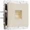 Розетка Ethernet RJ-45 (айвори акрил) W1181043 a064064 - фото 302562