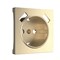 Накладка  для розетки USB (шампань рифленый) W1179510 a051422 - фото 312649