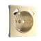 Накладка  для розетки USB (шампань рифленый) W1179510 a051422