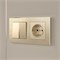 Выключатель двухклавишный (шампань) W1120011 a050857