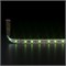 Светодиодная лента 12 В 4,8 Вт/м 60 Led/м 2835 IP65, зеленый, 5 м Лента светодиодная 12V 4,8W 60Led 2835 IP65 зеленый, 5м a040997