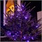 Гирлянда Нить управляемая 10м 100 LED ФИОЛЕТОВЫЙ черный ПВХ IP65 свечение с динамикой 230В контроллер в комплекте NEON-NIGHT 303-154